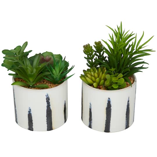 Green Faux Foliage Succulent in Patterned Porcelain Pot Set